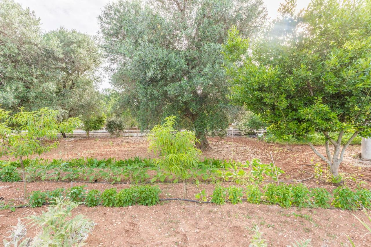 Vila Lamia Di Nonna Mena San Vito dei Normanni Exteriér fotografie